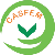 CASFEM